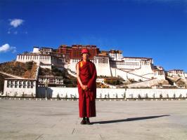 lama on potala square